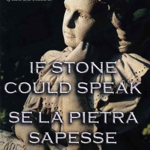 DVD cover - If Stone Could Speak
